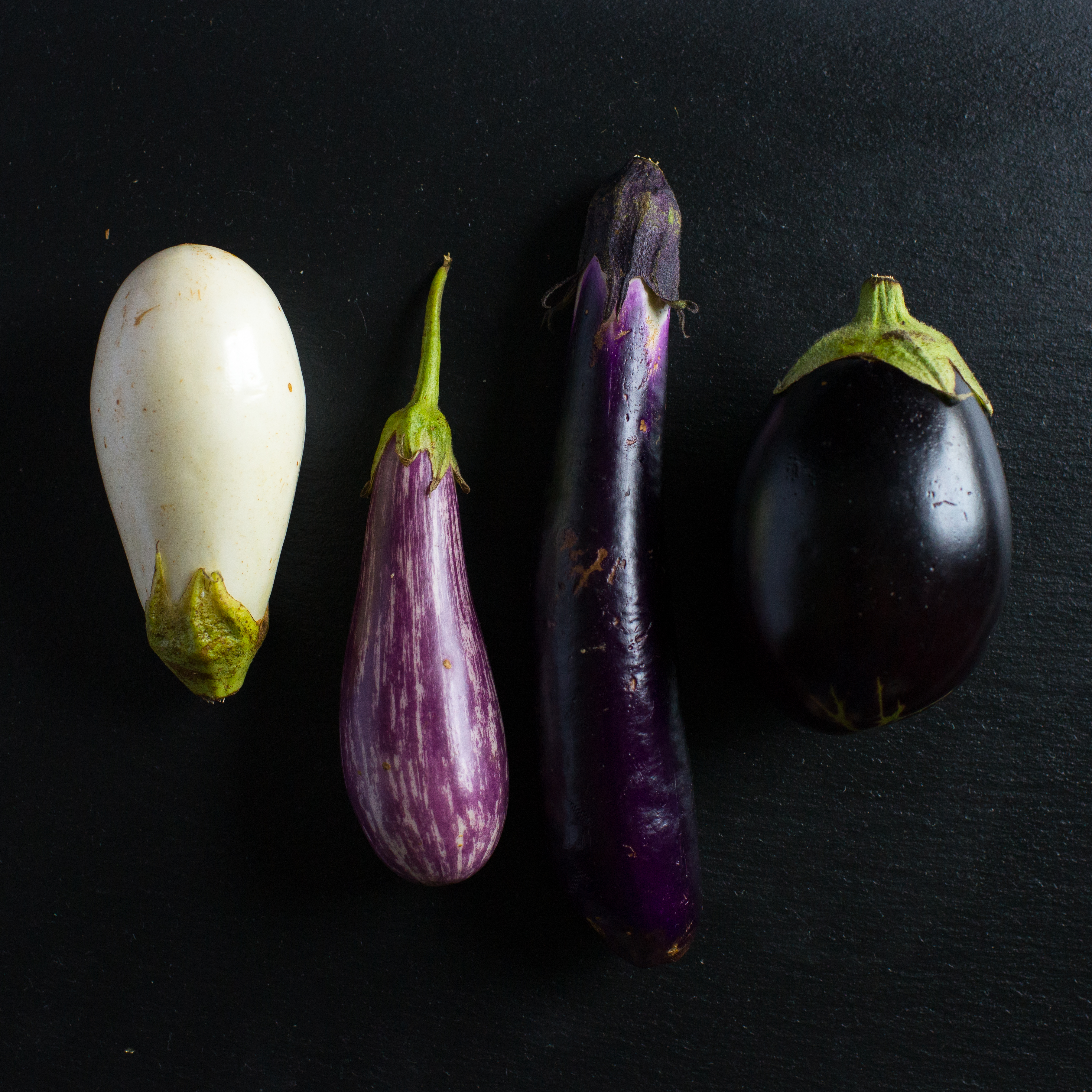 eggplants Doctor Yum Recipes