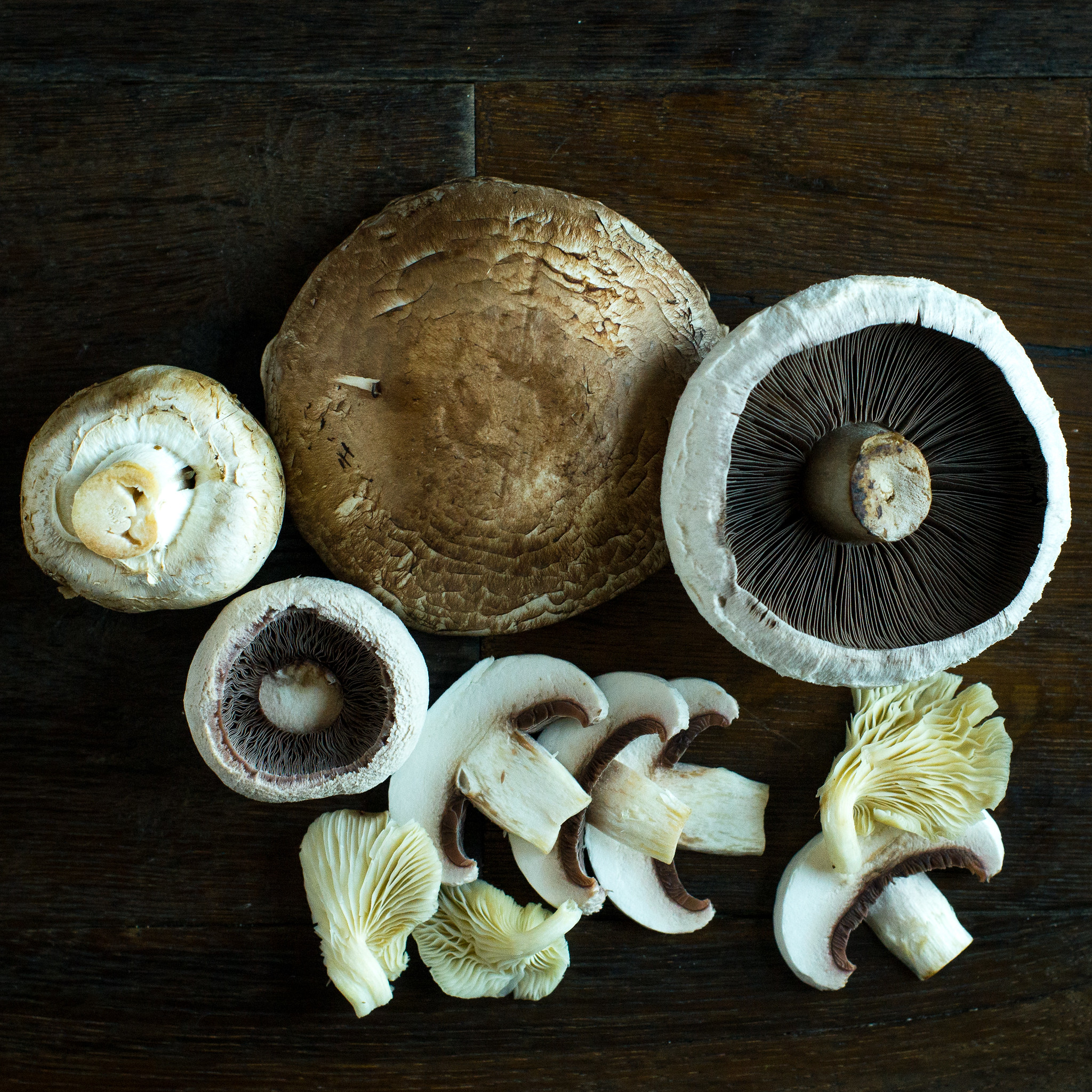 Mushrooms Doctor Yum Recipes Mushrooms Doctor Yum Recipes